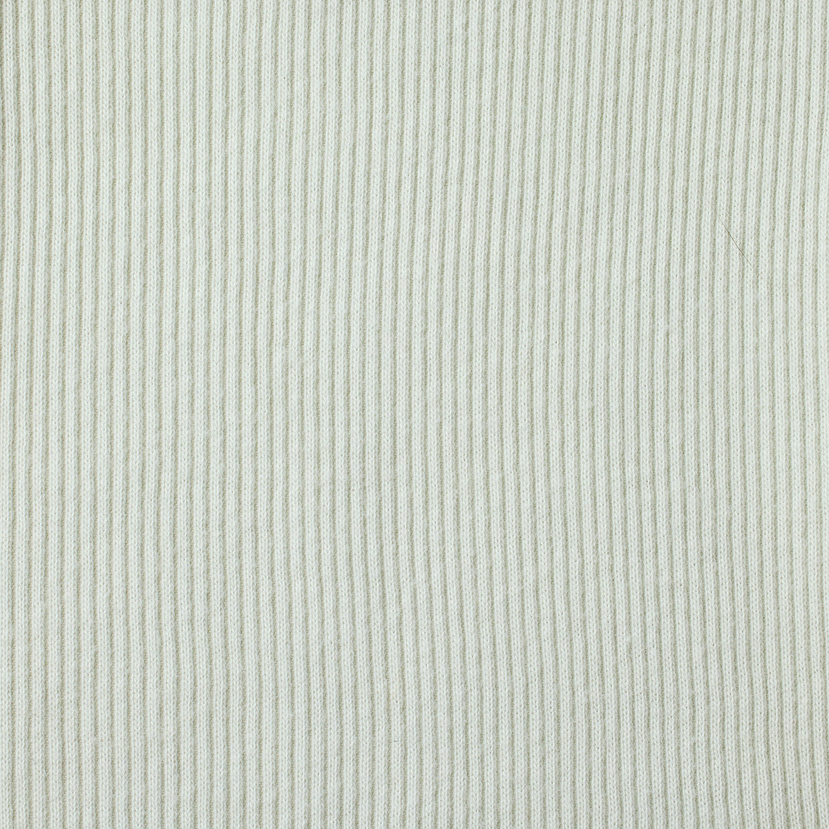 COTTON RIB TANK | SPEARMINT